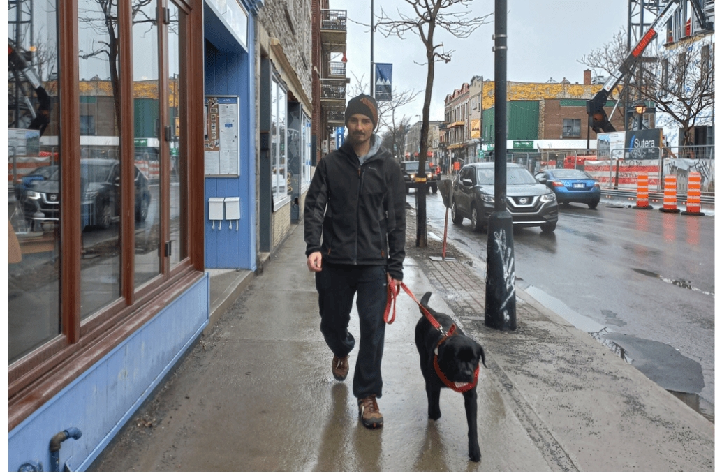Le chien-guide marche dans la rue avec son maître.