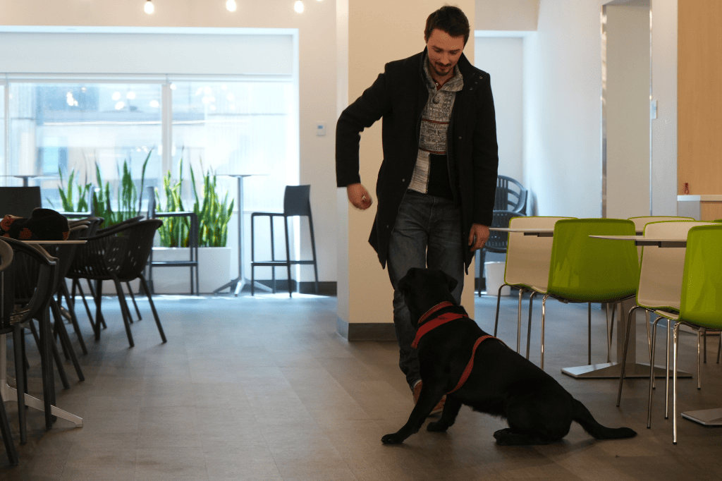 Le chien-guide dans la salle à manger de l'ARTM.