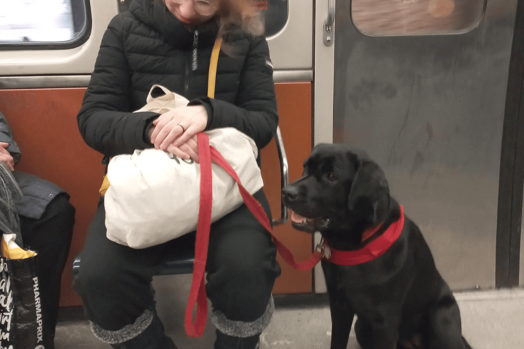 Le chien-guide dans le métro.